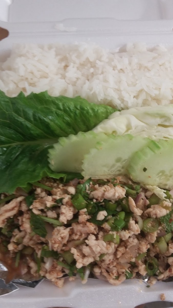 Tasty Food To Go - Thai & Lao-7